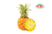 PIÑA GLAMOUR (kg)