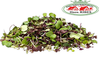 MEZCLUM BABY LEAF 400g