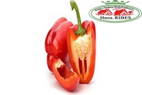 PIMIENTO ROJO EXTRA