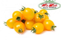 TOMATE CHERRY AMARILLO