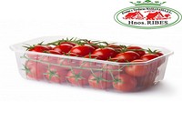 TOMATE CHERRY BANDEJA