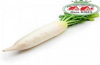 Rabano-daikon-frutas-massanassa