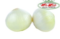cebolla-entera-pelada-frutas-massanassa