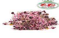 espinaca-frutas-massanassa