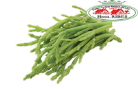 salicornia-frutas-massanassa
