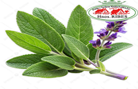 salvia-frutas-massanassa